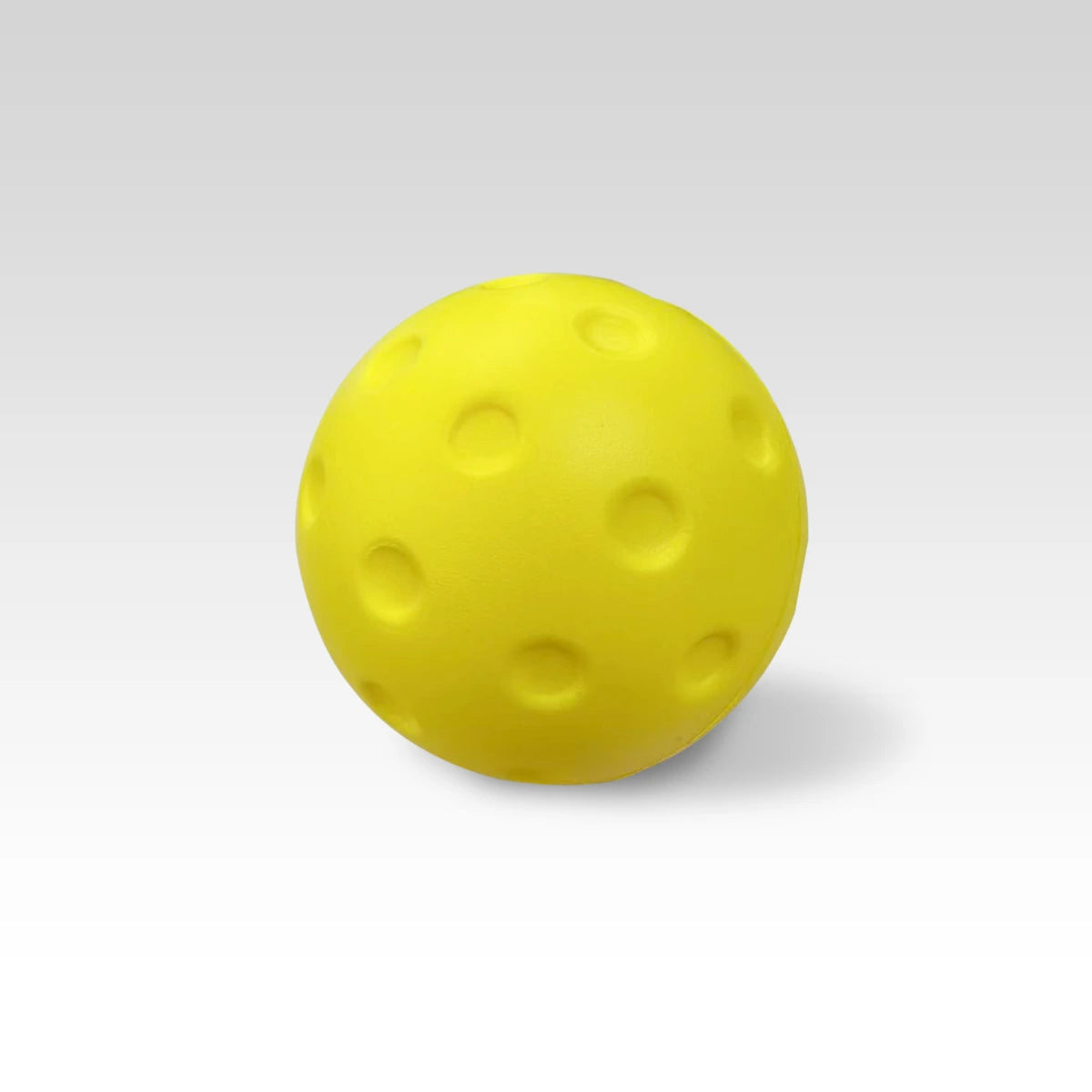 B2B TOMORO Pickleball Training Paddle with Quiet Pickleball Ball - MOQ 2set - PPWY-CTP+PBBHY-QB